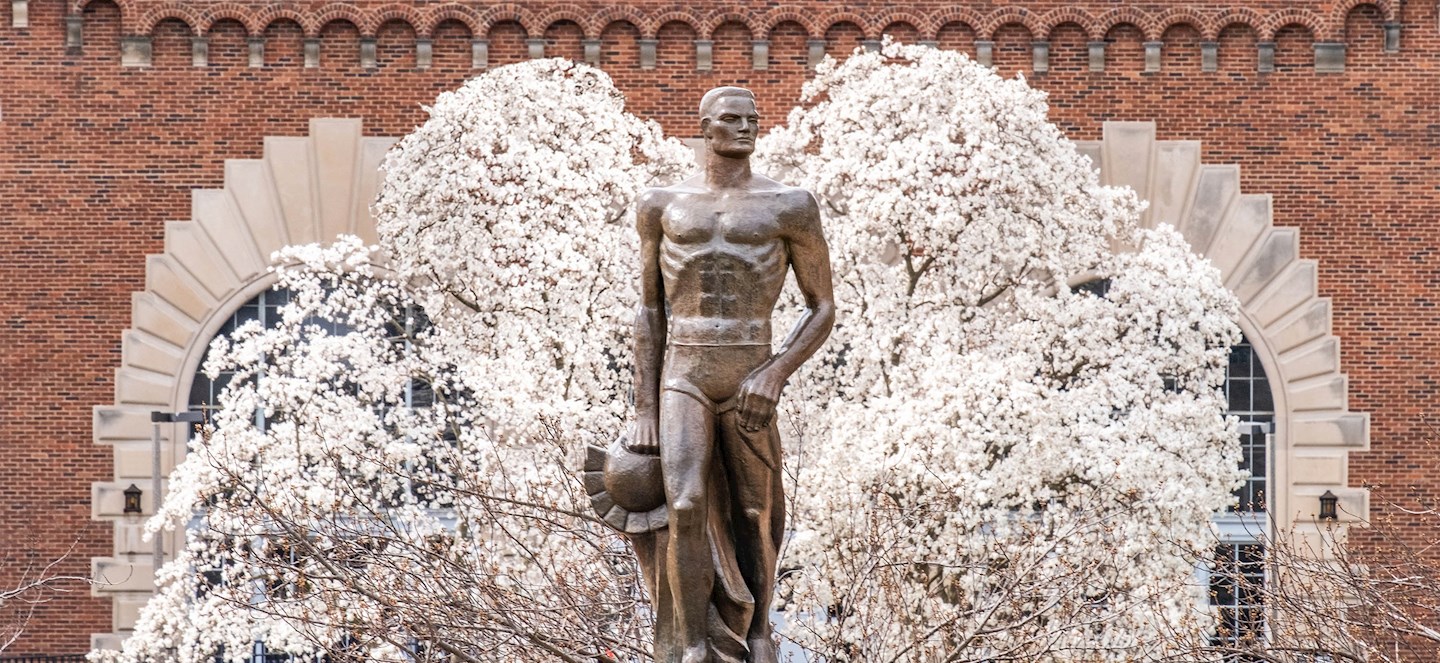 Spartan Statute in Spring