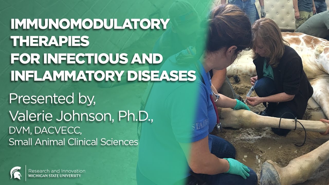 Immunomodulatory Therapies for Infectious and Inflammatory Diseases, presented by Valerie Johnson, DVM, Ph.D.